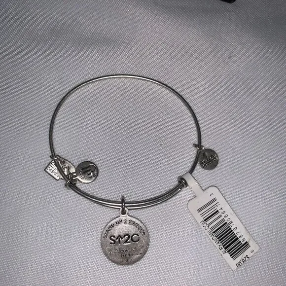 Stand Up Charm Bangle in Rafaelian Silver : Stand Up To Cancer - Picture 1 of 6